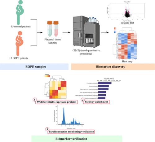 Proteomic Analysis Reveals Differential Protein Expression in Placental Tissues of Early-Onset Preeclampsia Patients