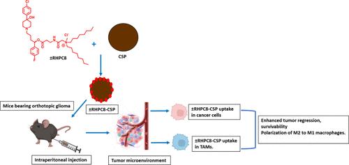 Lipid-Conjugated Reduced Haloperidol in Association with Glucose-Based Nanospheres: A Strategy for Glioma Treatment