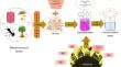 A comprehensive review on enzymatic decolorization of various azo dyes using laccase for the abatement of industrial pollution