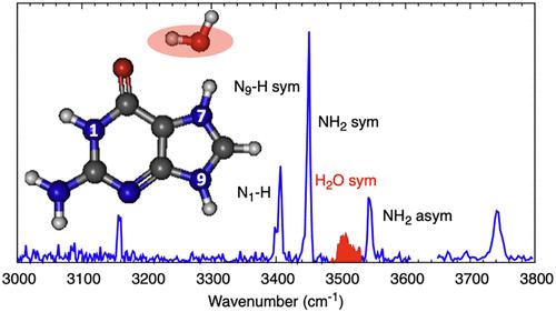 IR and UV Spectroscopy of Gas-Phase Monohydrated Protonated Guanine