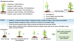 Assessment of Management Practices for Improving Productivity, Profitability, and Energy-Carbon-Water Use Efficiency of Intensive Rice-toria-Sweet Corn System in Eastern India