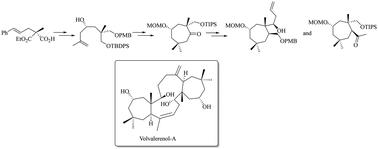 Synthetic studies towards volvalerenol A: access to a fully functionalized cycloheptane framework in an asymmetric fashion through the exploitation of C2-symmetry