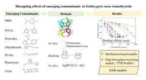 Binding interaction of typical emerging contaminants on Gobiocypris rarus transthyretin: an in vitro and in silico study