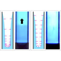 Drainage-induced spontaneous film climbing in capillaries