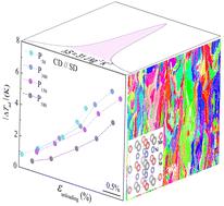 One-step additive manufacturing of Ni–Mn–Sn alloys with a large elastocaloric effect