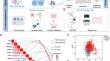 Interactions between polycyclic aromatic hydrocarbons and genetic variants in the cGAS–STING pathway affect the risk of colorectal cancer