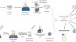 Preparation and characterization of polyethylene glycol/sodium alginate aerogel beads loaded with biogenic zinc oxide nanoparticles: potential therapeutic option for treating multidrug-resistant bacteria and cytotoxic activity