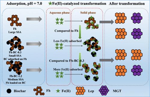 Influence of Biochar on the Fe(II)aq-Catalyzed Transformation of Ferrihydrite