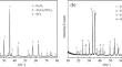 A new insight into iron ore oxidized pellets prepared by steel belt roasting process