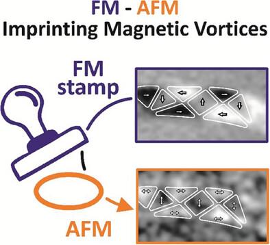 From Magnetostatics to Topology: Antiferromagnetic Vortex States in NiO-Fe Nanostructures