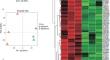 Proteomic Analysis Provides a New Sight Into the CRABP1 Expression in the Pathogenesis of Hirschsprung Disease