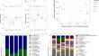 Auxin-Mediated Modulation of Maize Rhizosphere Microbiome: Insights from Azospirillum Inoculation and Indole-3-Acetic Acid Treatment