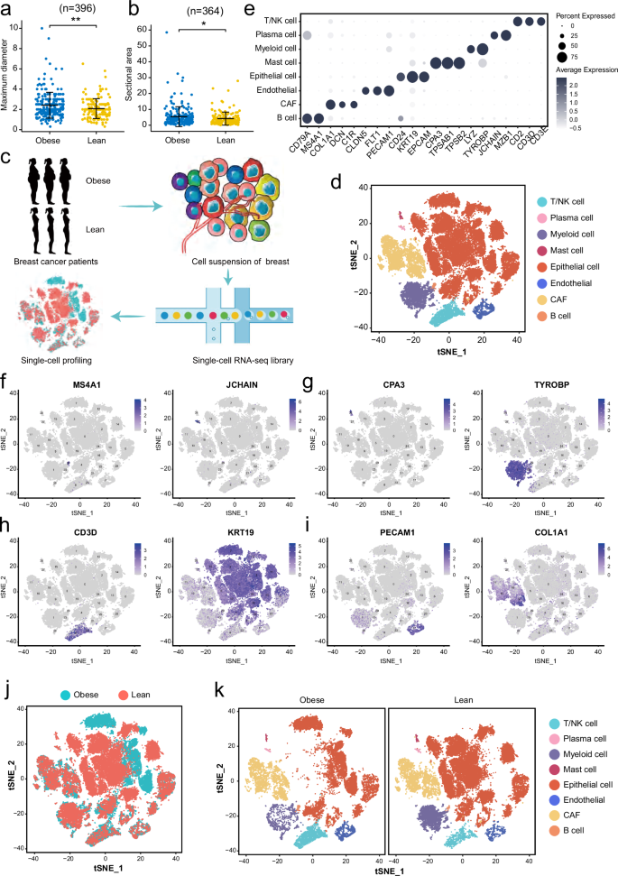 Single-cell RNA-sequencing reveals a unique landscape of the tumor microenvironment in obesity-associated breast cancer