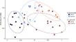 Arbuscular mycorrhizal fungal spore communities and co-occurrence networks demonstrate host-specific variation throughout the growing season