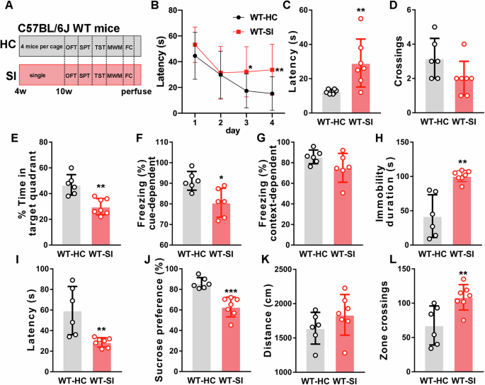 Social isolation impairs cognition via Aβ-mediated synaptic dysfunction