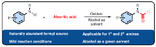 Sustainable N-Formylation of Anilines: Harnessing Aleuritic Acid as a Renewable Formyl Source