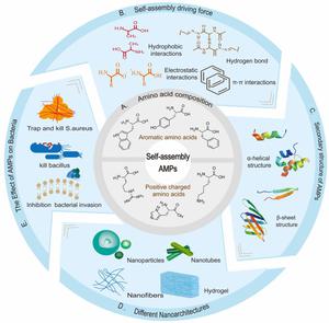 Tailoring supramolecular antimicrobial peptides: from self-assembled nanoarchitectures to activities