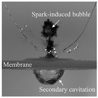 Cavitation caused by an elastic membrane deforming under the jetting of a spark-induced bubble