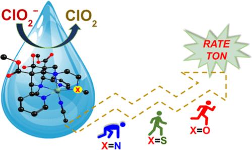 Unraveling Chlorite Oxidation Pathways in Equatorially Heteroatom-Substituted Nonheme Iron Complexes