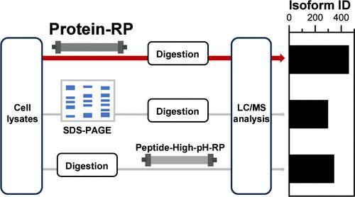 Revisiting Protein Reversed-Phase Chromatography for Bottom-Up Proteomics