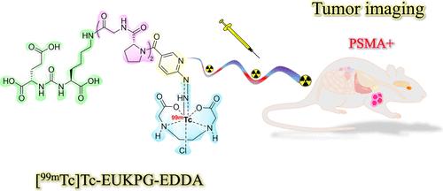 Synthesis and Evaluation of 99mTc-Labeled DPro-Gly-Containing Tracers Targeting PSMA