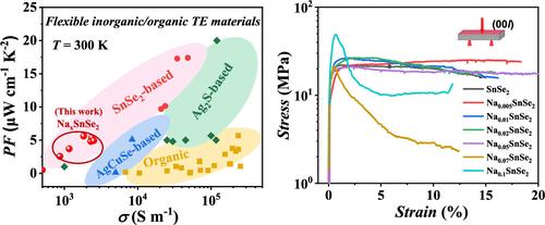 Mechanical and Thermoelectric Properties of Na-Intercalated SnSe2 Crystals