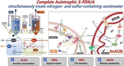 Autotrophic Sulfur-Driven Partial Denitrification as a Sustainable Nitrite Supply Pathway for Anammox: Insights on Enhanced Nitrogen Removal and Microbial Synergies