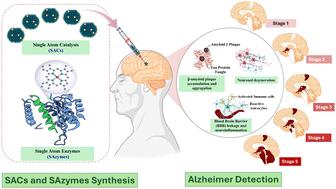 Atomically dispersed single-atom catalysts (SACs) and enzymes (SAzymes): synthesis and application in Alzheimer's disease detection