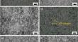 Effects of Pre-deformation and Peak Aging on Mechanical and Damping Properties of (CNTs + AlN)/AZ91 Composite