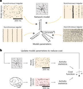 Automated customization of large-scale spiking network models to neuronal population activity