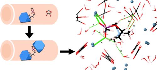 Ab Initio Molecular Dynamics Simulations of Phosphocholine Interactions with a Calcium Oxalate Dihydrate (110) Surface