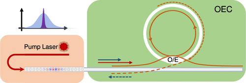Self-Injection Locking for Low Phase Noise Phonon Laser