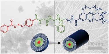 Regulating H2S release from self-assembled peptide H2S-donor conjugates using cysteine derivatives