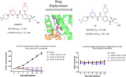 Design, Biological Characterization, and Discovery of Novel Cyclohexenyl Derivatives as Kinesin KIF18A Inhibitors for the Treatment of Ovarian Cancer