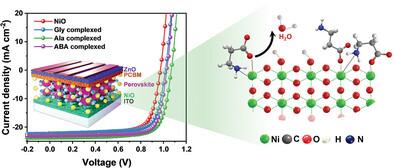 Interfacial Engineering of Nickel Oxide-Perovskite Interface with Amino Acid Complexed NiO to Improve Perovskite Solar Cell Performance