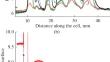 Role of Membrane H+ Transport and Plasmalemma Excitability in Pattern Formation, Long-Distance Transport and Photosynthesis of Characean Algae