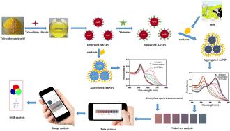 Low-cost and highly sensitive colorimetric and visual detection of amikacin in milk using melamine functionalized gold nanoparticles