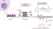 Advances in targeting cancer epigenetics using CRISPR-dCas9 technology: A comprehensive review and future prospects