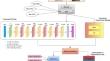 PLD-Det: plant leaf disease detection in real time using an end-to-end neural network approach based on improved YOLOv7