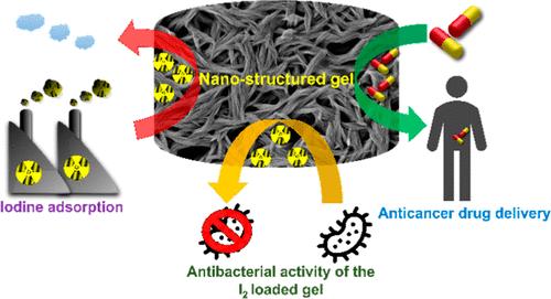 Nano-Structured Gel Materials for Environmental Remediation and Biomedical Applications