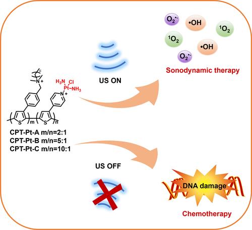 Cisplatin‐coordinated copolythiophene for synergistic chemotherapy and sonodynamic therapy of tumor