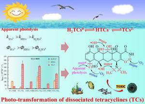 Aquatic photo-transformation and enhanced photoinduced toxicity of ionizable tetracycline antibiotics