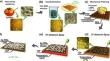 A novel bio-template strategy of assembled silver nanowires with cluster-random structure via tomato epidermis for transparent electromagnetic interference shielding and joule heating