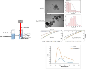 Facile and Eco-Friendly Fabrication Route of In2O3NP/MWCNTs Heterostructure as High-Performance Photodetectors by Laser Ablation Method