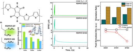 Modulating Alkyl Groups in Copolymer to Control Ion Transport in Electrolyte-Gated Organic Transistors for Neuromorphic Computing