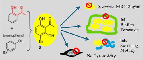 Comprehensive Exploration of Bromophenol Derivatives: Promising Antibacterial Agents against SA and MRSA