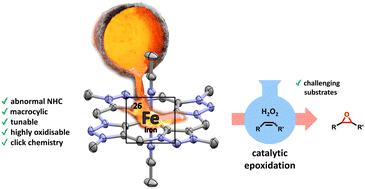 Exploring the impact of abnormal coordination in macrocyclic N-heterocyclic carbene ligands on bio-inspired iron epoxidation catalysis