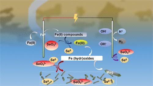 Electrochemical In Situ Production of Magnetite for the Removal of Se from Wastewater