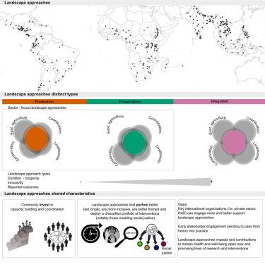 Reconciling conservation and development requires enhanced integration and broader aims: A cross-continental assessment of landscape approaches