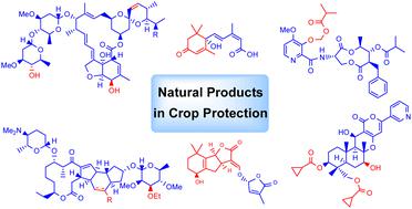 Chemical case studies from natural products of recent interest in the crop protection industry